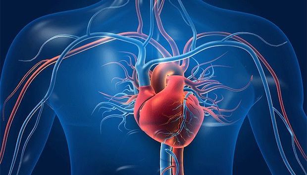 Heart disease prediction project thumbnail