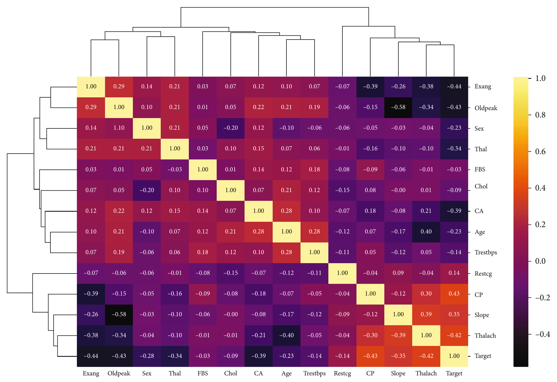Clustered correlation heat map of the 13 features and the target: most features correlate only weakly with each other, while chest pain type, maximum heart rate and slope correlate positively with the target and exercise-induced angina, ST depression and colored vessels correlate negatively